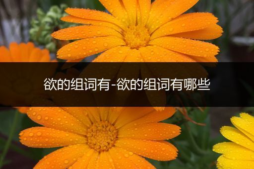 欲的组词有-欲的组词有哪些