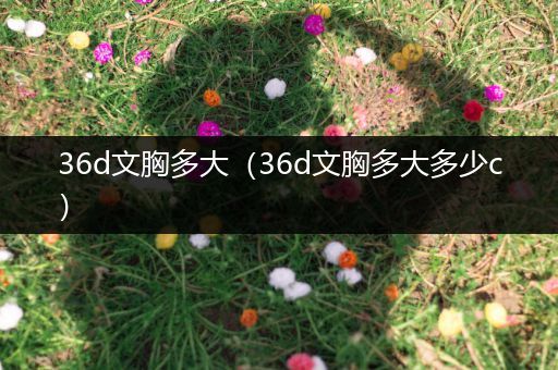 36d文胸多大（36d文胸多大多少c）