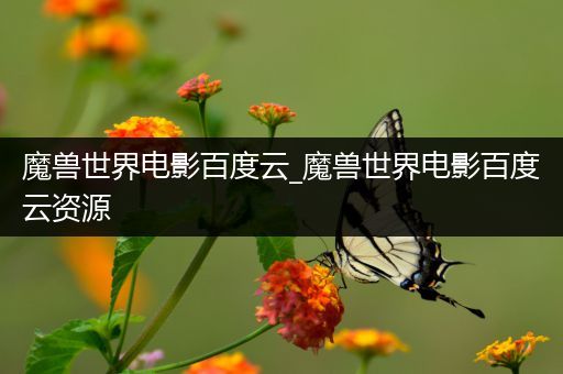 魔兽世界电影百度云_魔兽世界电影百度云资源