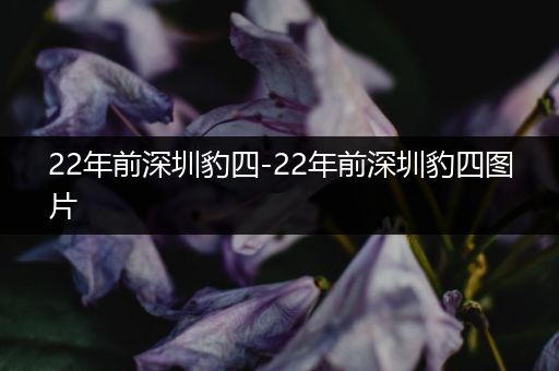 22年前深圳豹四-22年前深圳豹四图片