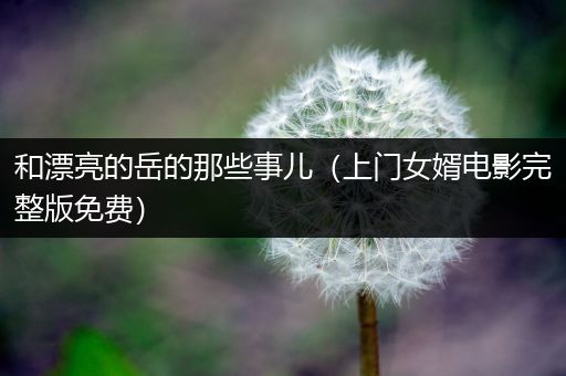和漂亮的岳的那些事儿（上门女婿电影完整版免费）