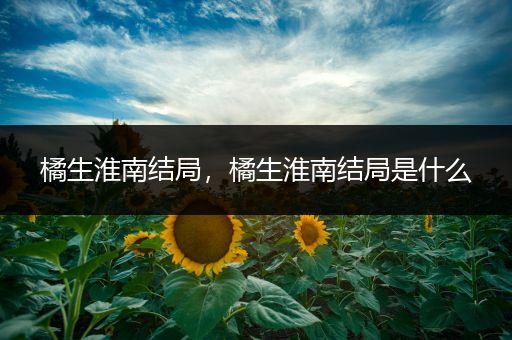 橘生淮南结局，橘生淮南结局是什么
