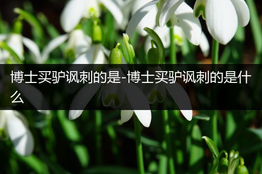 博士买驴讽刺的是-博士买驴讽刺的是什么