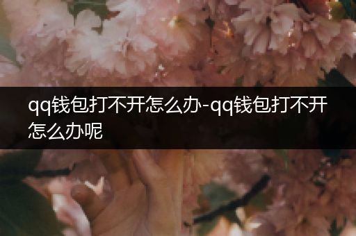 qq钱包打不开怎么办-qq钱包打不开怎么办呢