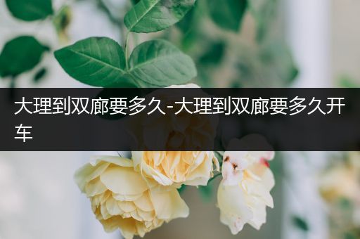 大理到双廊要多久-大理到双廊要多久开车