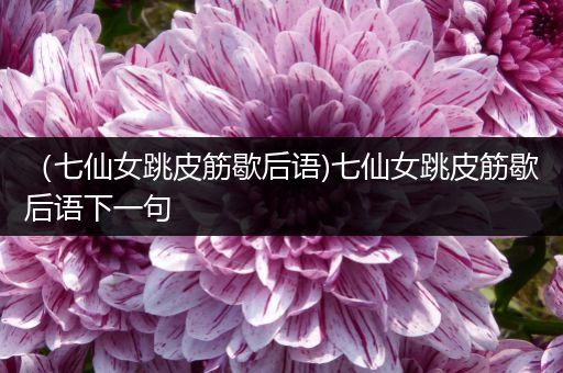 （七仙女跳皮筋歇后语)七仙女跳皮筋歇后语下一句