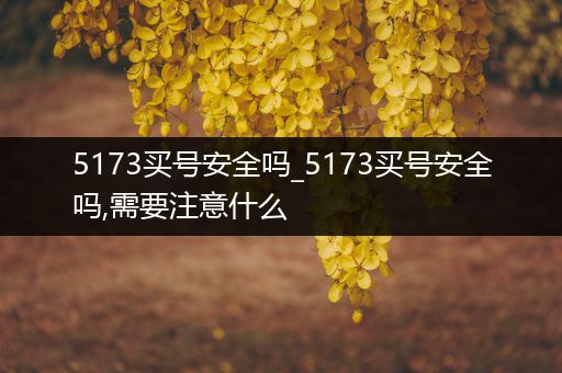 5173买号安全吗_5173买号安全吗,需要注意什么