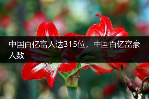 中国百亿富人达315位，中国百亿富豪人数