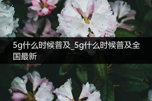 5g什么时候普及_5g什么时候普及全国最新