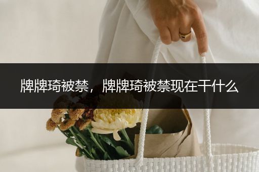 牌牌琦被禁，牌牌琦被禁现在干什么