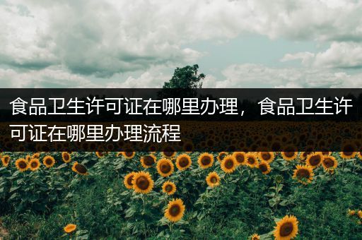 食品卫生许可证在哪里办理，食品卫生许可证在哪里办理流程