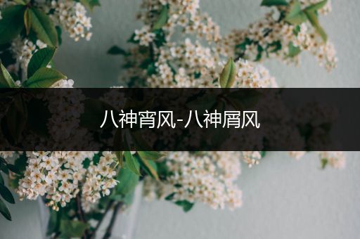 八神宵风-八神屑风