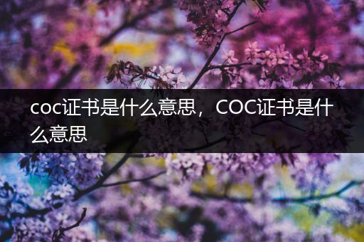 coc证书是什么意思，COC证书是什么意思