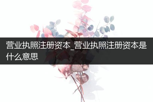 营业执照注册资本_营业执照注册资本是什么意思