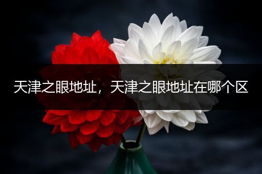 天津之眼地址，天津之眼地址在哪个区