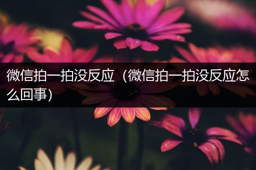 微信拍一拍没反应（微信拍一拍没反应怎么回事）