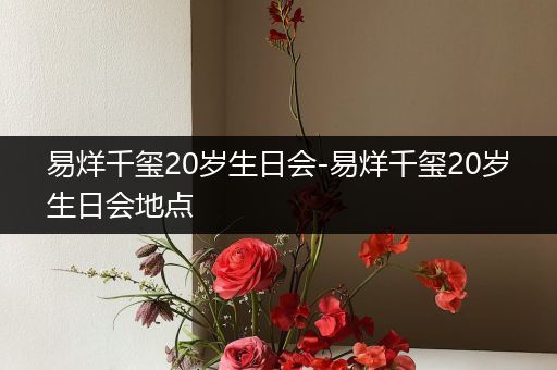 易烊千玺20岁生日会-易烊千玺20岁生日会地点