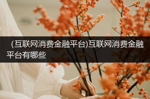 （互联网消费金融平台)互联网消费金融平台有哪些