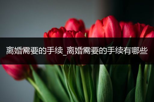 离婚需要的手续_离婚需要的手续有哪些