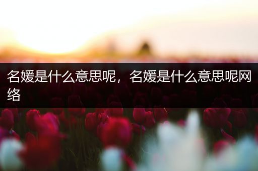 名媛是什么意思呢，名媛是什么意思呢网络