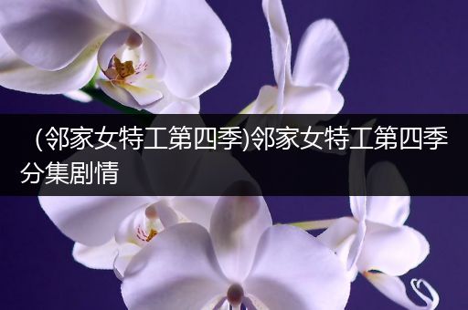 （邻家女特工第四季)邻家女特工第四季分集剧情
