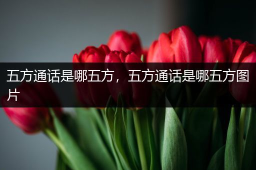 五方通话是哪五方，五方通话是哪五方图片