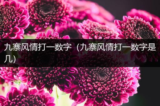 九寨风情打一数字（九寨风情打一数字是几）
