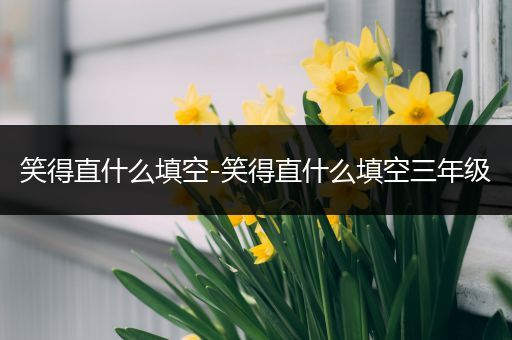 笑得直什么填空-笑得直什么填空三年级