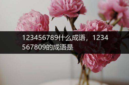 123456789什么成语，1234567809的成语是
