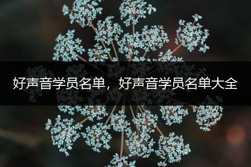好声音学员名单，好声音学员名单大全
