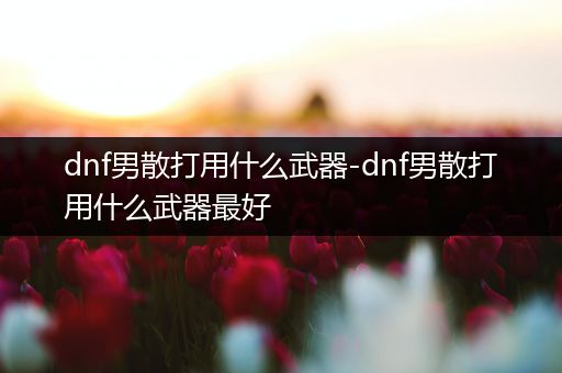 dnf男散打用什么武器-dnf男散打用什么武器最好