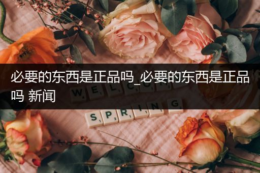 必要的东西是正品吗_必要的东西是正品吗 新闻