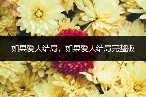 如果爱大结局，如果爱大结局完整版