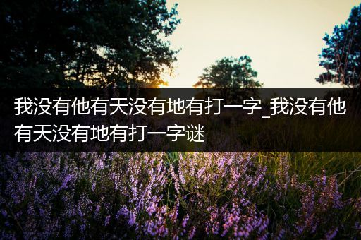 我没有他有天没有地有打一字_我没有他有天没有地有打一字谜