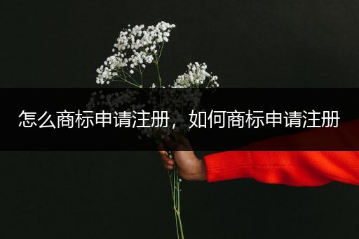 怎么商标申请注册，如何商标申请注册