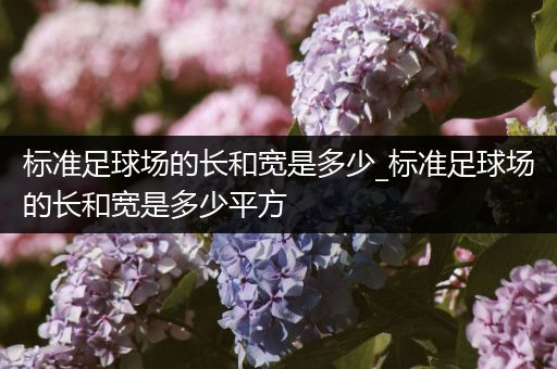标准足球场的长和宽是多少_标准足球场的长和宽是多少平方