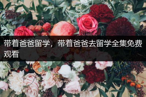 带着爸爸留学，带着爸爸去留学全集免费观看