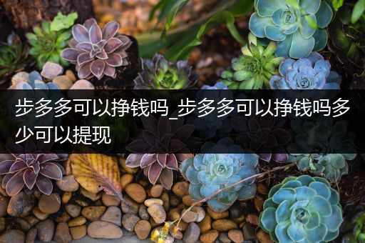 步多多可以挣钱吗_步多多可以挣钱吗多少可以提现