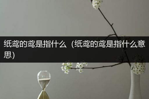 纸鸢的鸢是指什么（纸鸢的鸢是指什么意思）