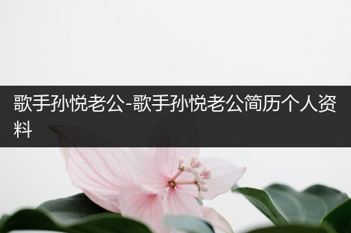歌手孙悦老公-歌手孙悦老公简历个人资料
