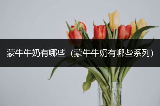 蒙牛牛奶有哪些（蒙牛牛奶有哪些系列）