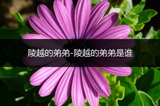 陵越的弟弟-陵越的弟弟是谁