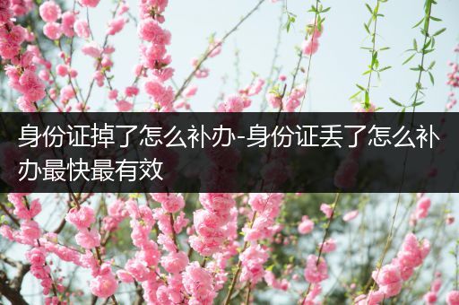 身份证掉了怎么补办-身份证丢了怎么补办最快最有效