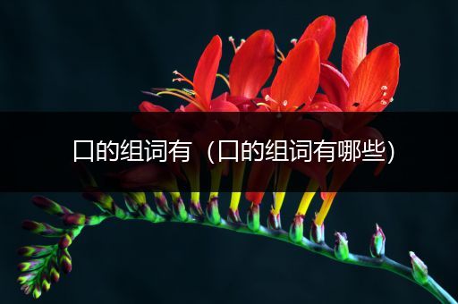 口的组词有（口的组词有哪些）
