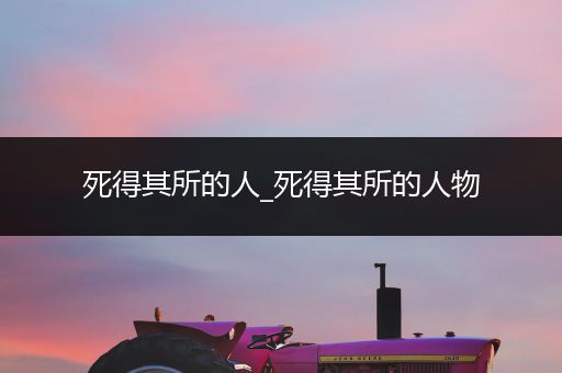 死得其所的人_死得其所的人物