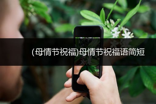 （母情节祝福)母情节祝福语简短