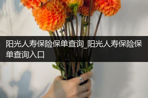 阳光人寿保险保单查询_阳光人寿保险保单查询入口