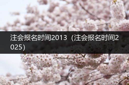 注会报名时间2013（注会报名时间2025）
