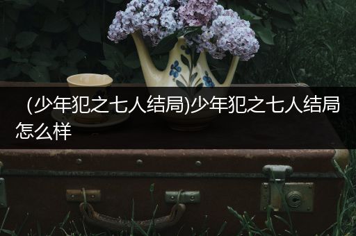 （少年犯之七人结局)少年犯之七人结局怎么样