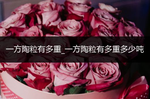 一方陶粒有多重_一方陶粒有多重多少吨